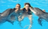 Immagine di SPETTACOLO CON I DELFINI