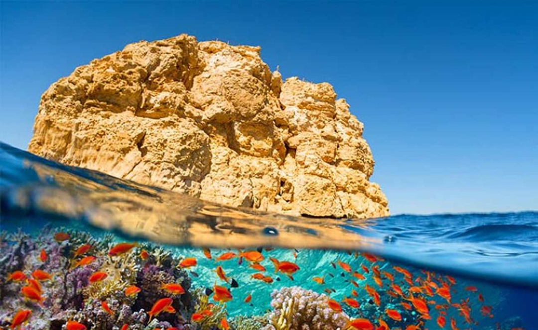 Immagine di ESCURSIONE IN BARCA A RAS MOHAMMED