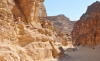 Immagine di JEEP SAFARI NEL CANYON COLORATO