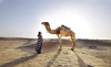 Immagine di CENA BEDUINA CON QUAD E CAMMELLATA NEL DESERTO